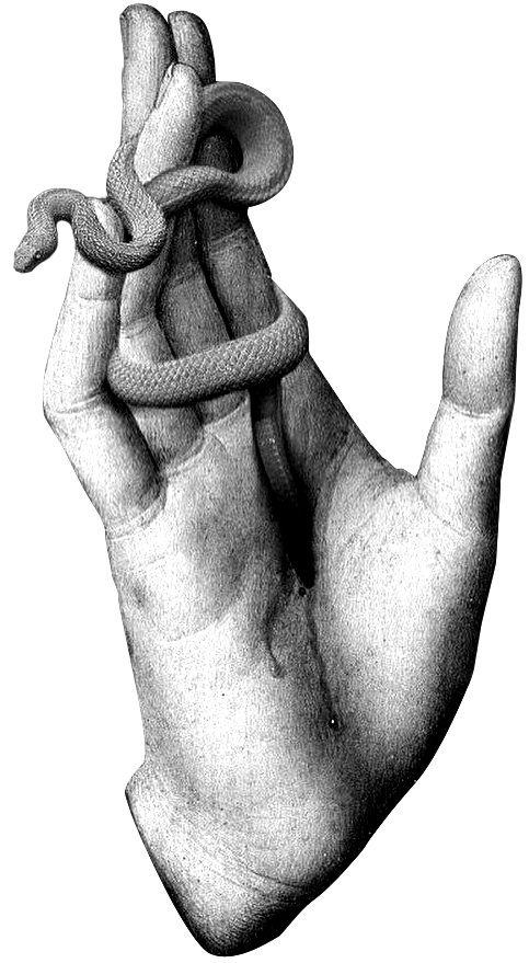 Hand with snake